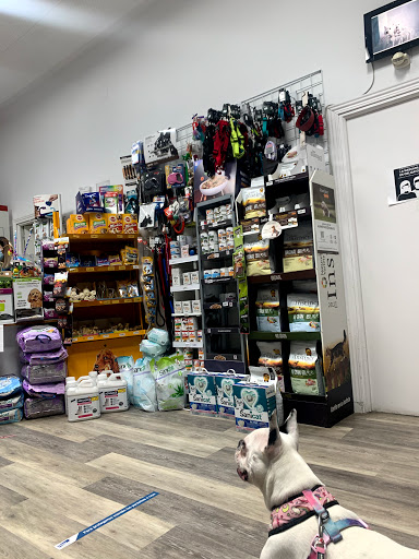 Clínica Veterinaria Rainbow – Madrid