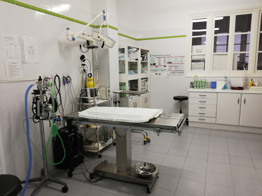 Clínica Veterinaria Raquel Guallart – Castellón de la Plana