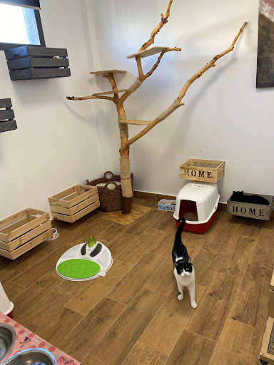 Clínica Veterinaria Reina del Mar – Bonanza