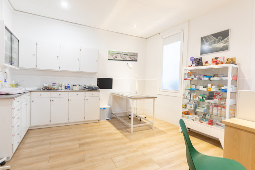 Clínica Veterinaria Rocabertí – Barcelona