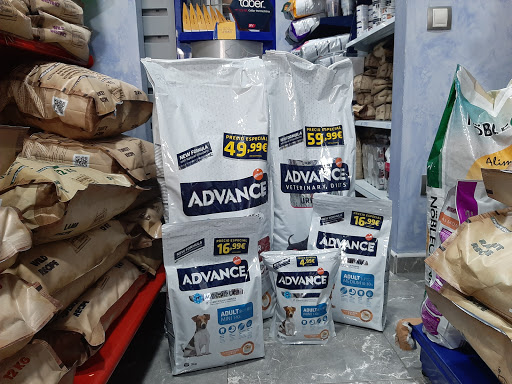 Clínica Veterinaria Rocafort – Rocafort