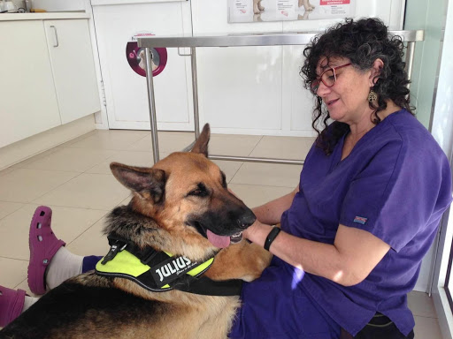 Clínica Veterinaria Rosvet – Pineda de Mar