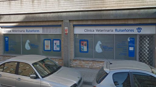 Clínica Veterinaria Ruiseñores – Zaragoza
