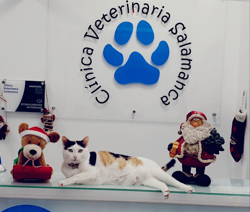 Clínica Veterinaria Salamanca – Santa Cruz de Tenerife
