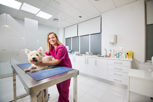 Clínica Veterinaria Salón – Granada