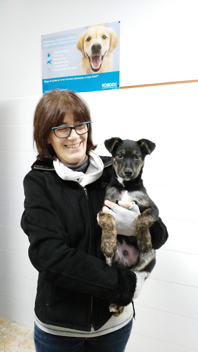 Clínica Veterinaria Salud Animal Requena – Requena