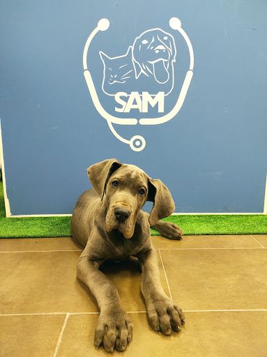 Clínica Veterinaria Sam – Bormujos