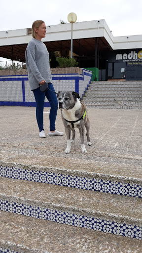 Clínica Veterinaria San Anton – Dehesa de Campoamor