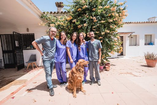 Clínica Veterinaria San Francisco de Asís – San Pedro de Alcántara