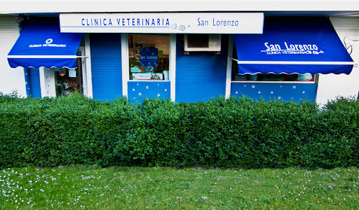 Clínica Veterinaria San Lorenzo – Madrid