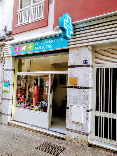 Clínica Veterinaria San Lucas – Santa Cruz de Tenerife