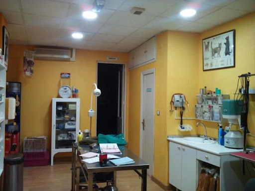 Clínica Veterinaria San Sebastian – Cieza