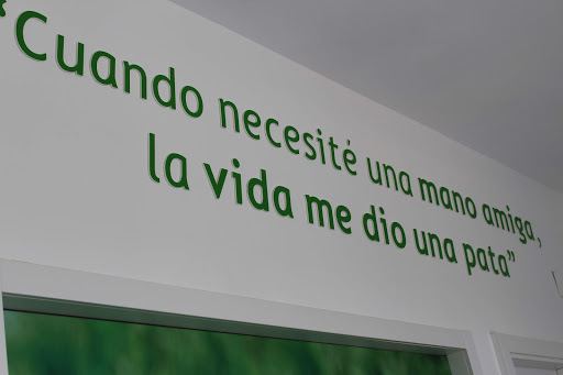 Clínica Veterinaria Sanantón – La Muela