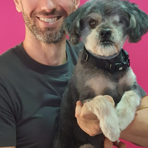 Clínica Veterinaria Sanasana Denia – Dénia