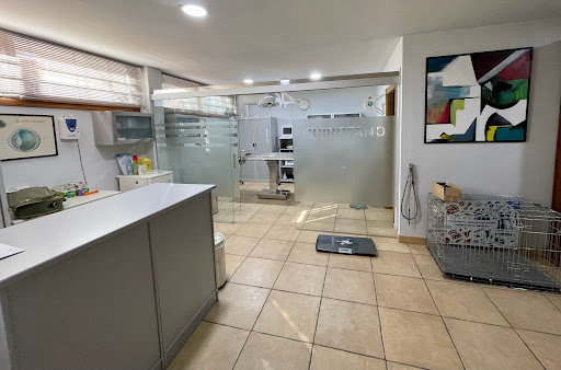 Clínica Veterinaria Sánchez y Ribes – La Guardia de Jaén