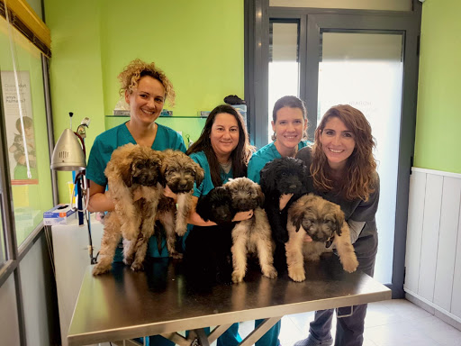 Clínica Veterinaria Sant Joan – Vilanova i la Geltrú