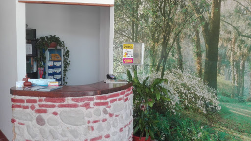 Clínica Veterinaria Santa Ana Sabinillas – San Luis de Sabinillas