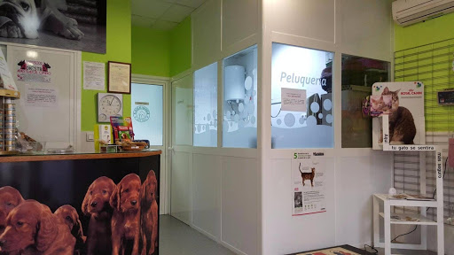 Clínica Veterinaria Santa Clara ( Mañanas Cita y Sábados Cita ) – Sevilla