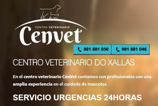 Clínica Veterinaria Santa Comba Cenvet – Santa Comba