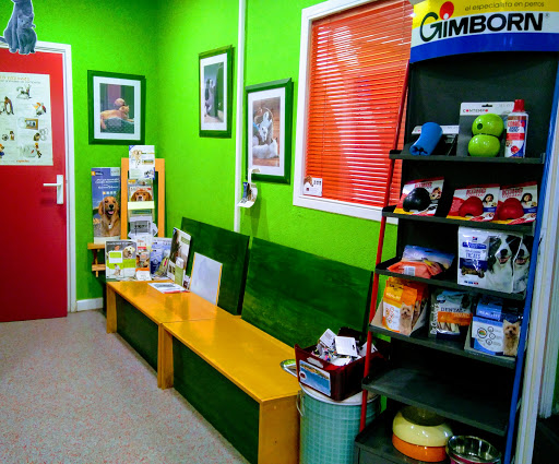 Clínica Veterinaria Santa Cristina – Perillo