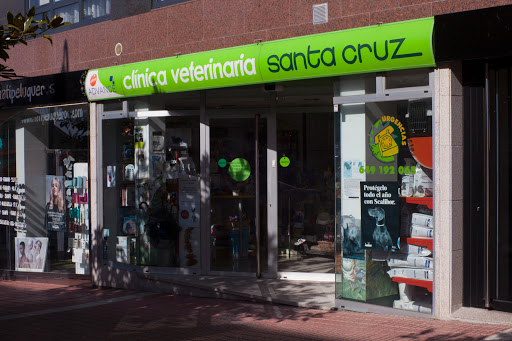 Clínica Veterinaria Santa Cruz – Porto de Santa Cruz