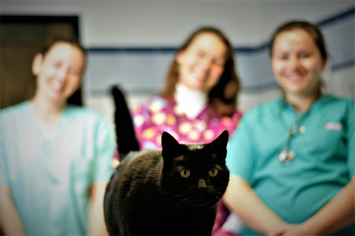 Clínica Veterinaria Santa Gertrudis – Santa Gertrudis de Fruitera