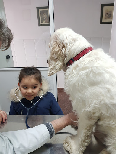 Clínica Veterinaria Santa Pau – Valencia