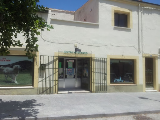 Clínica Veterinaria Sejmeth – Navalcarnero