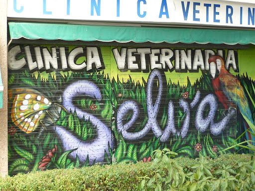 Clínica Veterinaria Selva – Madrid