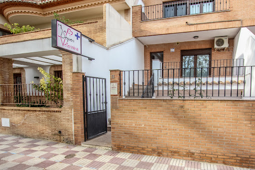 Clínica Veterinaria Sequers – Tavernes de la Valldigna