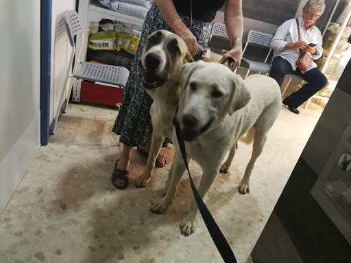 Clínica Veterinaria Sevilla Este – Sevilla