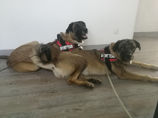 Clínica Veterinaria Simón Verde – Mairena del Aljarafe