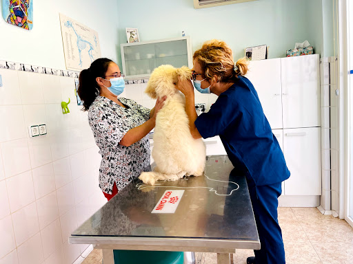 Clínica Veterinaria Sineu – Sineu