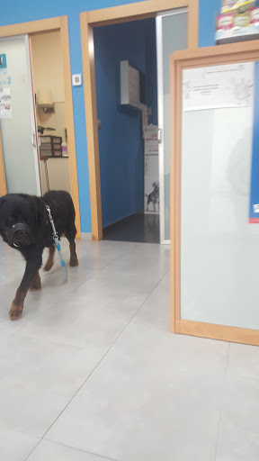 Clínica Veterinaria Sol y Luz – Sant Vicent del Raspeig