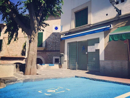 Clínica Veterinaria Sóller – Sóller