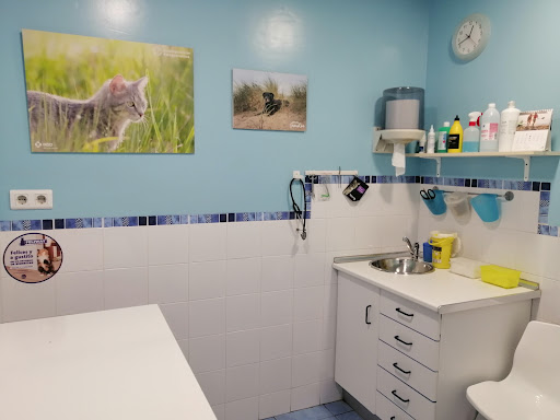 Clínica Veterinaria Sopelana – Sopelana