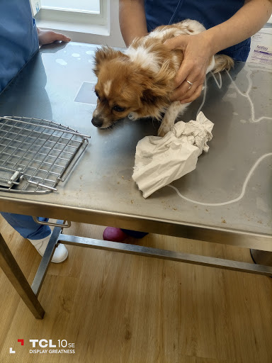 Clínica Veterinaria Supermascota – Sevilla