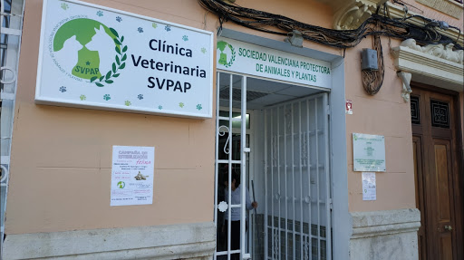 Clínica Veterinaria Svpap – Valencia