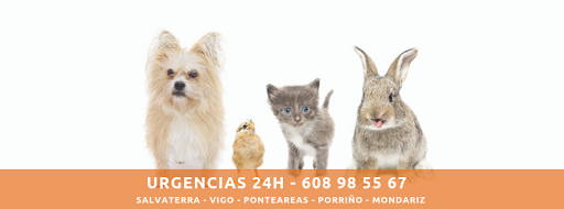 Clínica Veterinaria Tea Ponteareas – Ponteareas