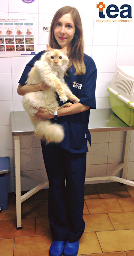 Clínica Veterinaria Tea San Antón Vigo – Vigo