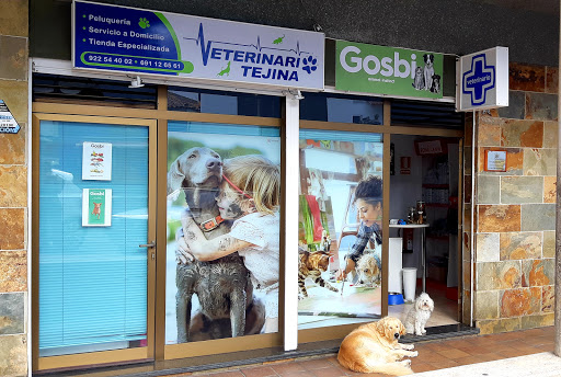 Clínica Veterinaria Tejina – Tejina