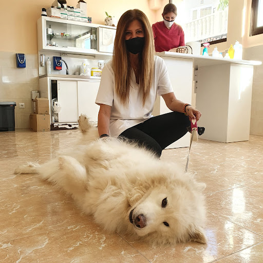 Clínica Veterinaria The Quiñon – Seseña