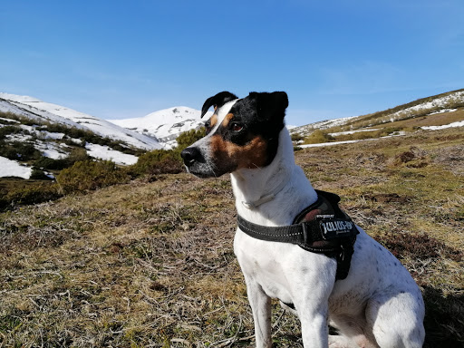 Clínica Veterinaria Tirso de Molina – Valladolid