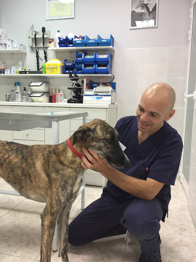 Clínica Veterinaria Tres Olivos – Madrid