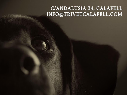 Clínica Veterinaria Trivet Calafell – Calafell