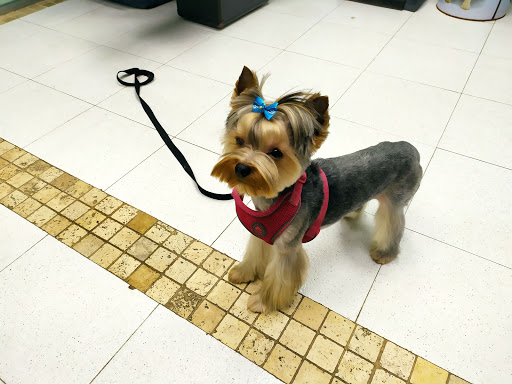 Clínica Veterinaria Troncoso – Pontedeume