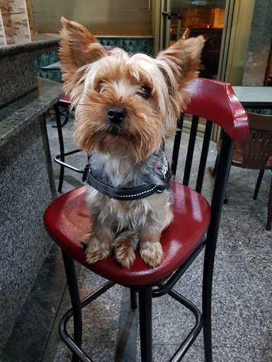 Clínica Veterinaria Tu-can – Leganés