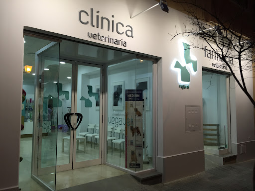 Clínica Veterinaria Vegavet – Lora del Río