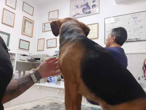 Clínica Veterinaria Vegueta – Las Palmas de Gran Canaria