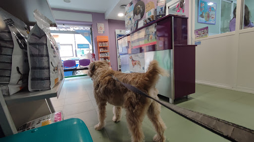 Clínica Veterinaria Velilla de San Antonio – Velilla de San Antonio